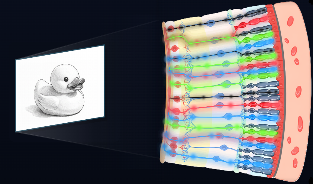 Preview sub-mode: signal conversion